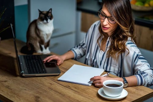 3 reasons why remote work isn't all it's cracked up to be